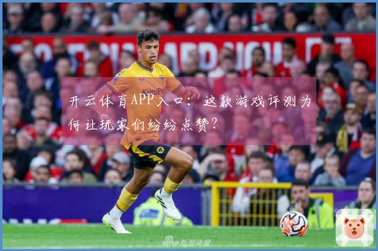 开云体育APP入口：这款游戏评测为何让玩家们纷纷点赞？