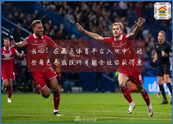 当心！在赢点体育平台入口中，这些角色养成技巧可能会让你获得意想不到的收益