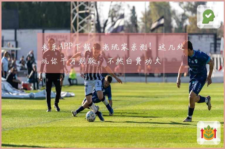 米乐APP下载，老玩家亲测！这几处坑你千万别踩，不然白费功夫
